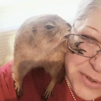Skwerlgyrl :squirrel_photo: 🐿️ avatar